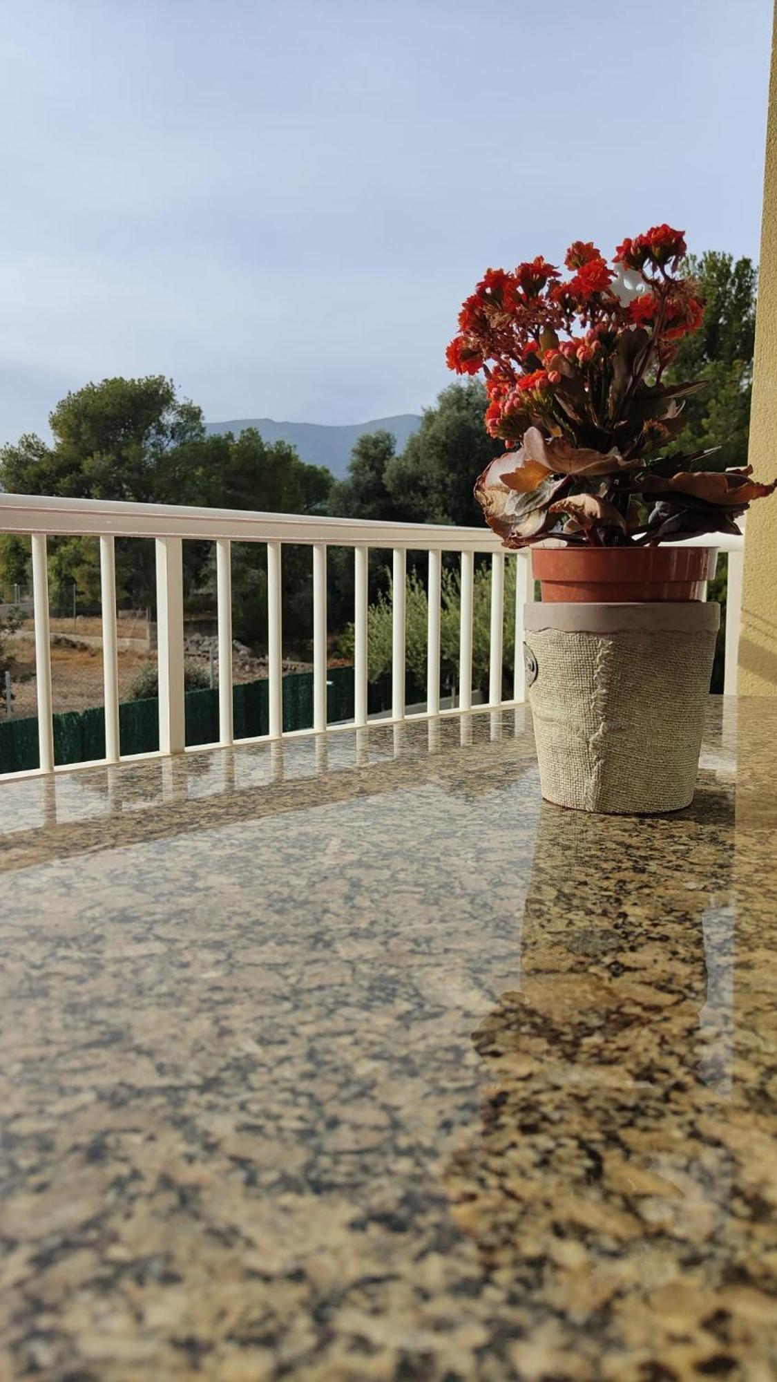 Apartamentos Montsia Mar Sant Carlos de la Ràpita Εξωτερικό φωτογραφία